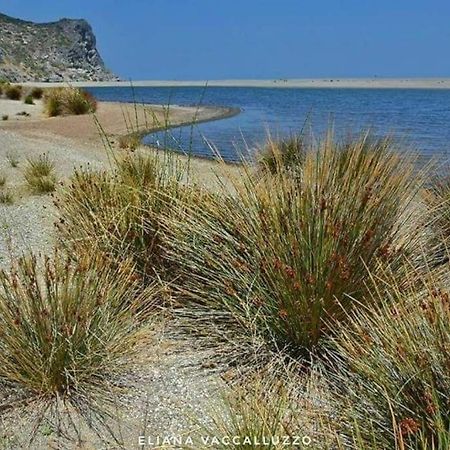 Falcon Best Beach Villa Falcone Esterno foto